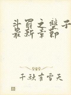 斗罗之双子斗罗最新章节