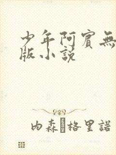 少年阿宾无删减版小说