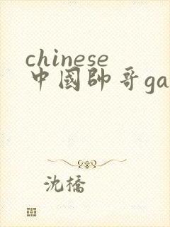 chinese中国帅哥gay