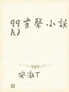99有声小说(h)