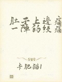 肚子上边痛一阵一阵的绞痛封面