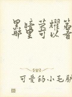 黑暗荣耀第一季哪里可以看