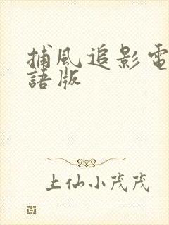 捕风追影电影国语版