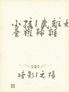 小孩1岁离婚抚养权归谁