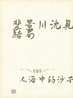 裴景川沈见欢大结局封面