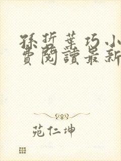 孙哲叶巧小说免费阅读最新章节