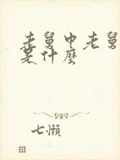 老舅中老舅结局是什么