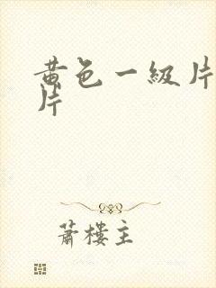 黄色一级片国产片