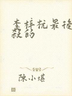 李梓杭最后被谁杀的