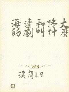 海清和佟大为演的剧叫什么