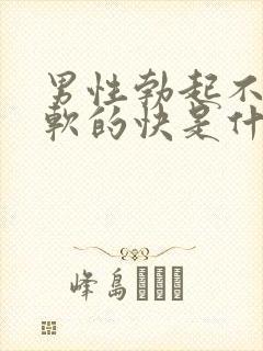 男性勃起不够硬软的快是什么原因