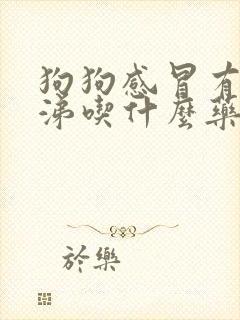 狗狗感冒有浓鼻涕吃什么药