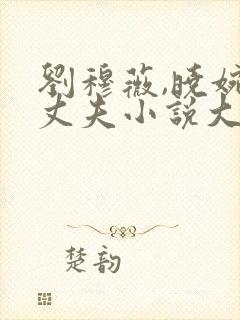 刘穆薇,晓婉,丈夫小说大结局