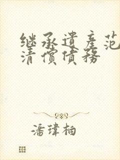 继承遗产范围内清偿债务封面