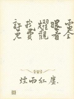 许我耀眼电视剧免费观看全集完整版