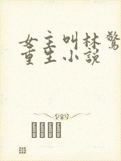 女主叫林惊澜的重生小说封面