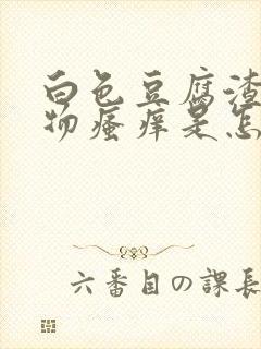 白色豆腐渣分泌物瘙痒是怎么回事