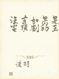 没有如果是哪部电视剧的主题曲