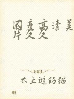 国产高清美女毛片久久