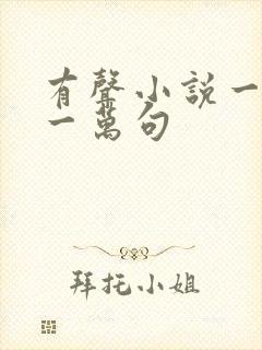 有声小说一句顶一万句