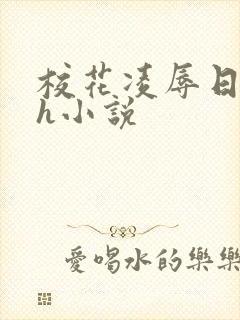 校花凌辱日记高h小说封面