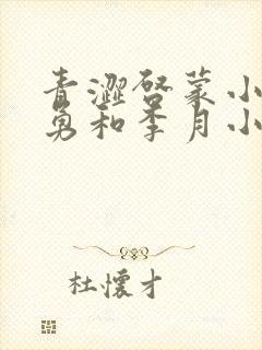 青涩启蒙小说张勇和李月小说