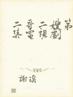 二哥二嫂第40集电视剧封面