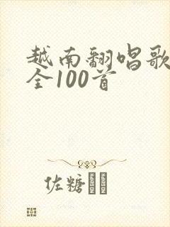 越南翻唱歌曲大全100首封面