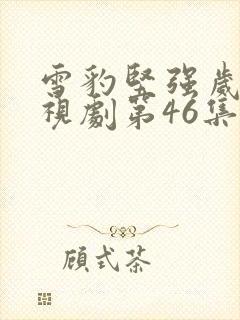 雪豹坚强岁月电视剧第46集