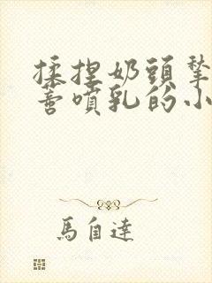 揉捏奶头揪扯阴蒂喷乳的小说