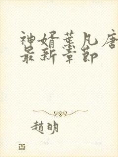 神婿叶凡唐若雪最新章节