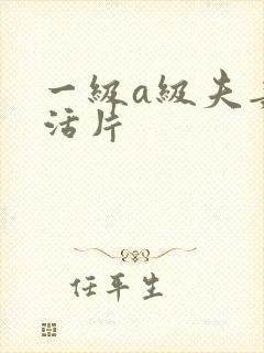 一级a级夫妻生活片