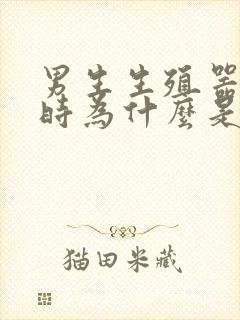 男生生殖器勃起时为什么是弯的