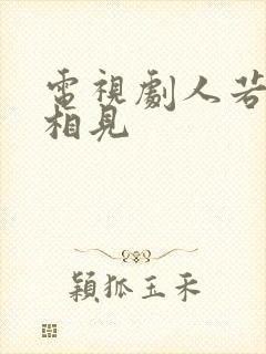 电视剧人若如初相见