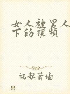 女人被男人舔底下的视频