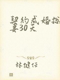 契约成婚总裁宠妻30天封面