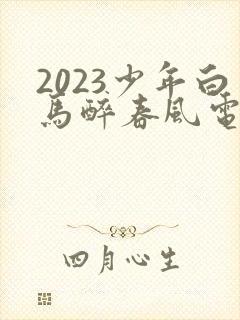 2023少年白马醉春风电视剧33集播放