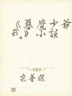 《恶魔少爷别惹我》小说