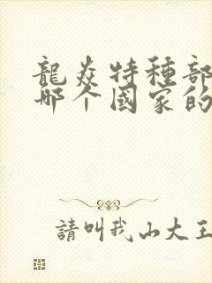 龙焱特种部队是哪个国家的