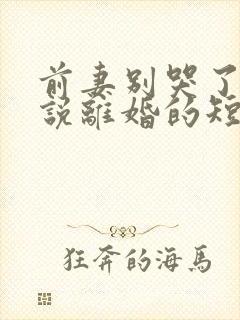 前妻别哭了是你说离婚的短剧免费