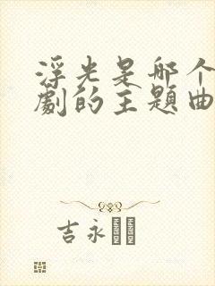 浮光是哪个电视剧的主题曲封面