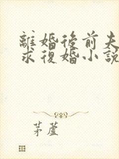 离婚后前夫哭着求复婚小说免费阅读