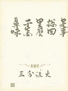 鼻子里总是有臭味怎么回事