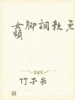 女脚调教免费视频封面