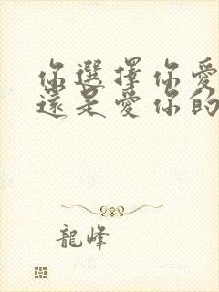 你选择你爱的人还是爱你的人封面