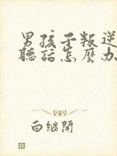 男孩子叛逆期不听话怎么办封面