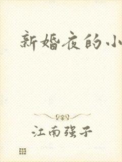 新婚夜的小姨