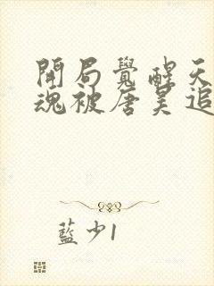 开局觉醒天使武魂被唐昊追杀的小说