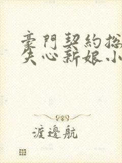 豪门契约总裁的失心新娘小说