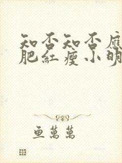 知否知否应是绿肥红瘦小明兰扮演者